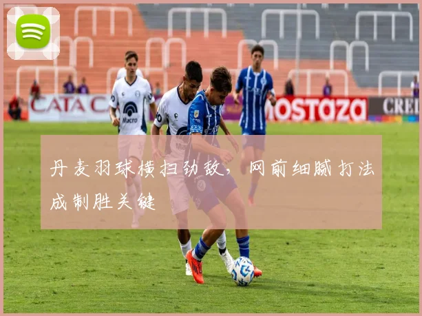 丹麦羽球横扫劲敌,网前细腻打法成制胜关键 - 2026世界杯推荐