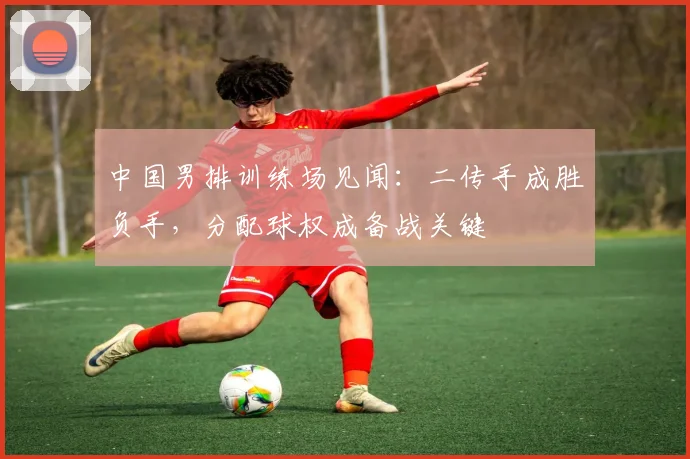 中国男排训练场见闻：二传手成胜负手，分配球权成备战关键 - 2026世界杯推荐