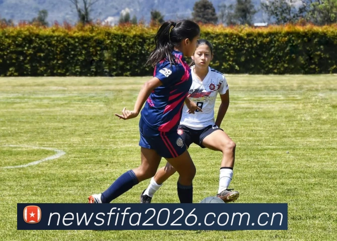 全球赛事直播聚合 - 2026世界杯